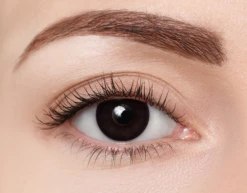 Clearcolor 1-Day Phantom Black Out -BrilMode Verkoopwinkel clearcolor FN101N black out