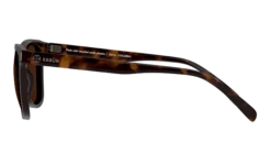 Karun KAUS0063 Havana Bro 53/19 -BrilMode Verkoopwinkel original png 5060486615704 00004