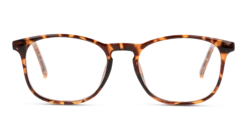 Seen SNOU5003 HH00 50/17