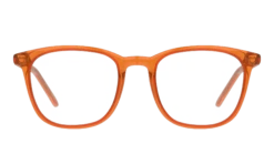 Seen SNOT0003 OO0048/19